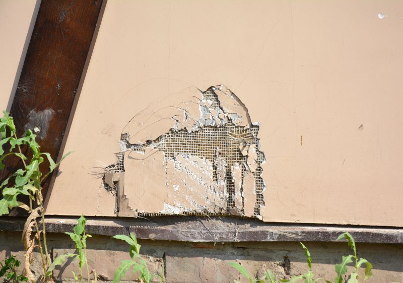 House Stucco Repair in Marin County, CA